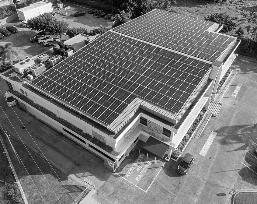 Republic Bank Takes Decisive Action To Reduce Its Carbon Footprint